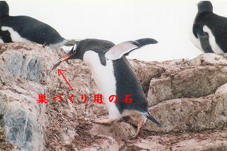 ÂɗރyM